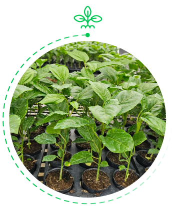 Bước 1