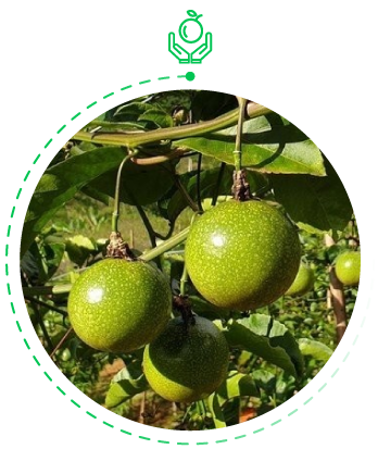 Bước 2